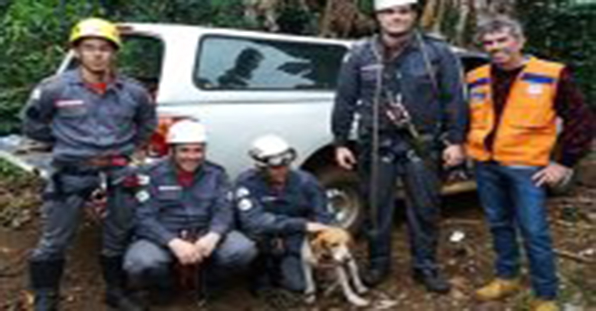 Bombeiros resgatam cão que estava preso há 2 dias em montanha na cidade de Carangola