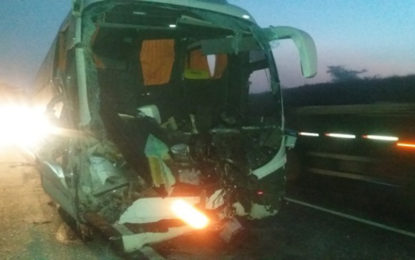 Acidente entre ônibus de turismo e carreta deixa 17 feridos na BR-381 em Lavras