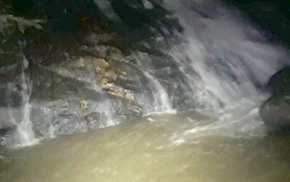 Jovem tenta tirar selfie em cachoeira, mas acaba morrendo em Santa Margarida