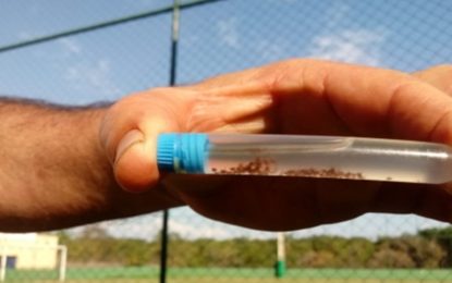 Vigilância encontra carrapatos e mantém quatro campos interditados em Divinópolis