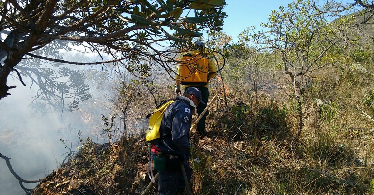 INCÊNDIO NA SERRA DE SÃO JOSÉ MOBILIZA FORÇA TAREFA COM 40 PROFISSIONAIS
