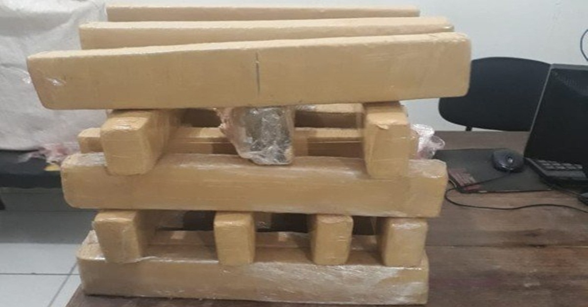 Polícia apreende 25 quilos de maconha no município de Coronel Murta