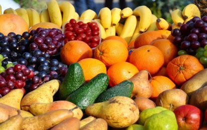 PRODUTORES QUE NÃO CUMPRIREM RASTREABILIDADE SERÃO PENALIZADOS