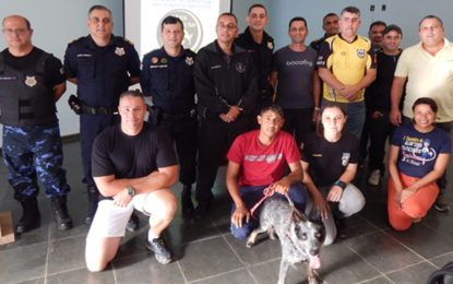 Guarda Civil Municipal recebe curso de treinamento de cães de faro de narcóticos