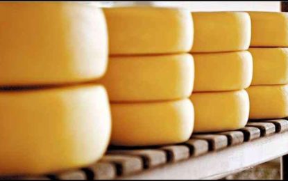 Destaque em Minas, queijo produzido no Serro ganha marca própria