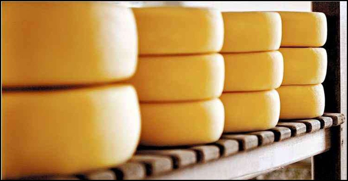 Destaque em Minas, queijo produzido no Serro ganha marca própria