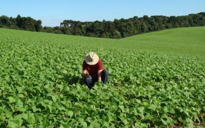 LEI CONCEDE DESCONTOS PARA PAGAMENTOS DE DÍVIDAS DE CRÉDITO RURAL