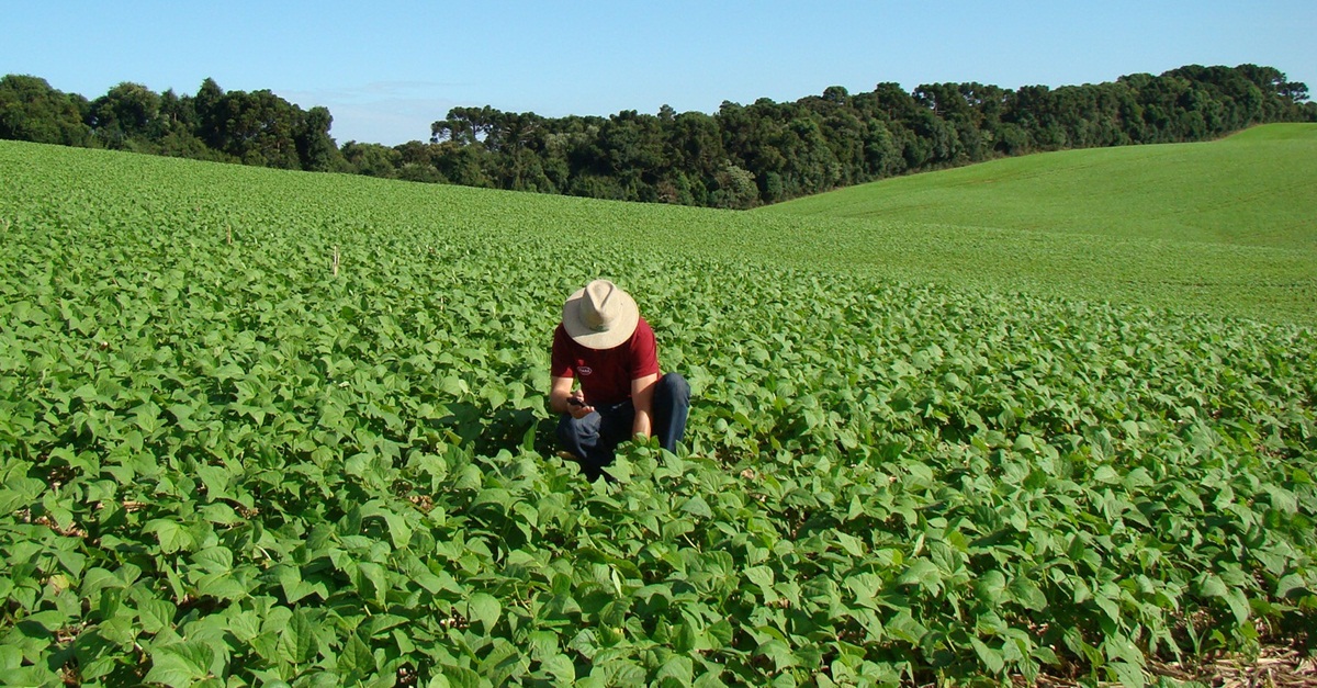LEI CONCEDE DESCONTOS PARA PAGAMENTOS DE DÍVIDAS DE CRÉDITO RURAL