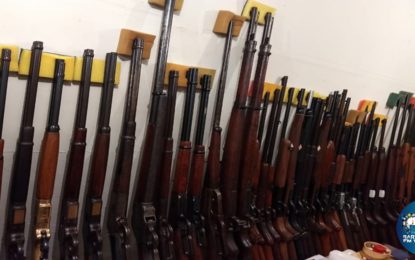 ARMAS DE FOGO E MUNIÇÕES SÃO APREENDIDAS EM ANTÔNIO CARLOS-MG
