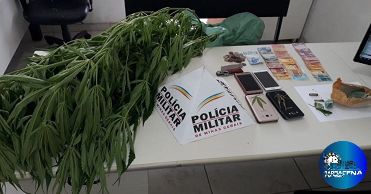 Polícia Militar cumpre mandado de busca e apreensão e localiza pés de maconha em residência em Antônio Carlos