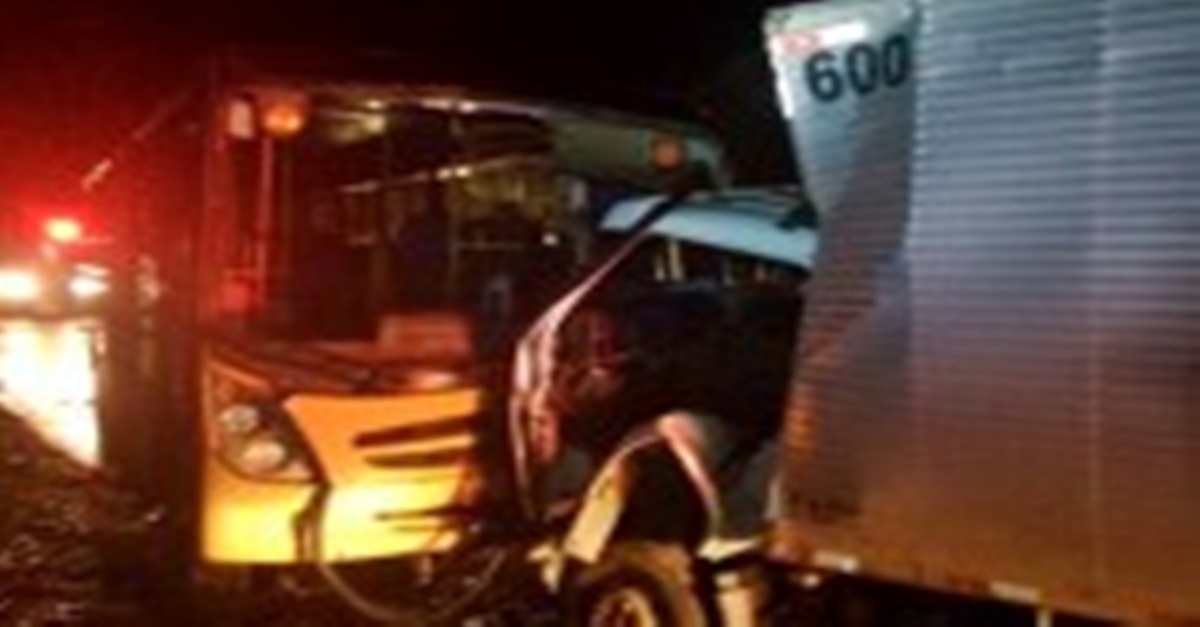 Colisão entre ônibus escolar e caminhão deixa mais de 20 feridos na estrada Fervedouro-Carangola
