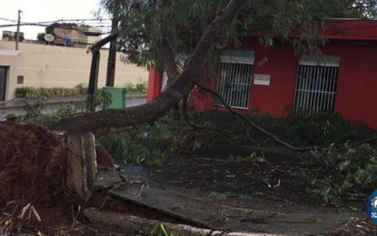 Temporal atinge Triângulo Mineiro e deixa muita destruição