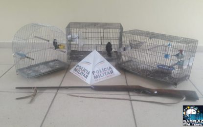 PM autua mulher por manter pássaros da fauna silvestre em cativeiro sem autorização