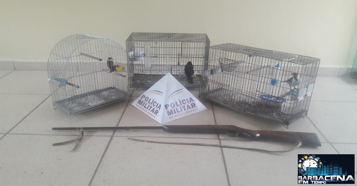 PM autua mulher por manter pássaros da fauna silvestre em cativeiro sem autorização