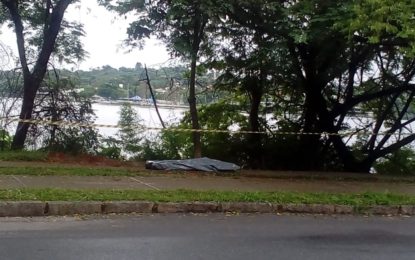 AFOGAMENTO NA LAGOA DA PAMPULHA EM BELO HORIZONTE COM VÍTIMA FATAL