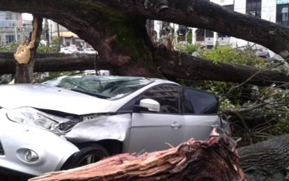 FORMATURAS DO PROGRAMA DE EDUCAÇÃO AMBIENTAL DA PMMG (PROGEA)