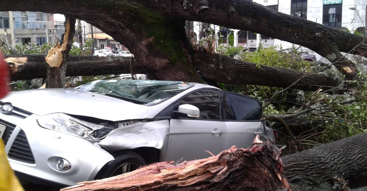 FORMATURAS DO PROGRAMA DE EDUCAÇÃO AMBIENTAL DA PMMG (PROGEA)