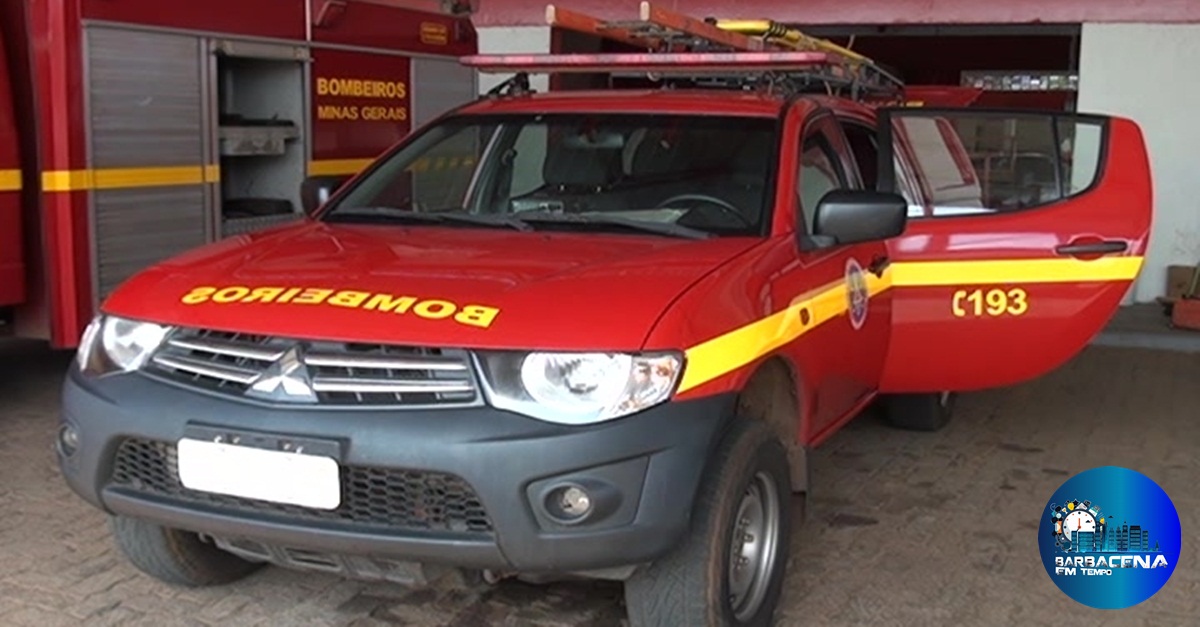 Bombeiros capturam cobras em residências nas cidades de Congonhas e Conselheiro Lafaiete