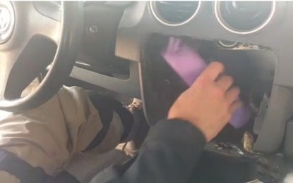 PRF apreende cerca de 50 quilos de pasta base de cocaína, em Betim, na grande BH