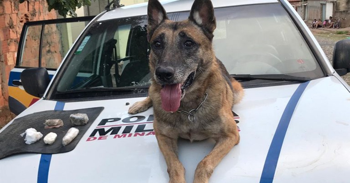 POLÍCIA MILITAR APREENDE GRANDE QUANTIDADE DE DROGAS EM PARÁ DE MINAS