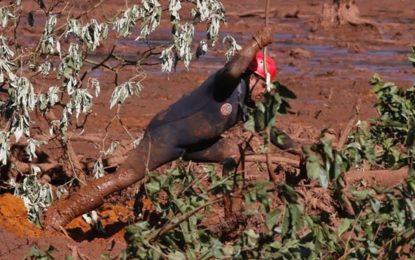 DF vai enviar bombeiros e cães farejadores para ajudar nas buscas em Brumadinho