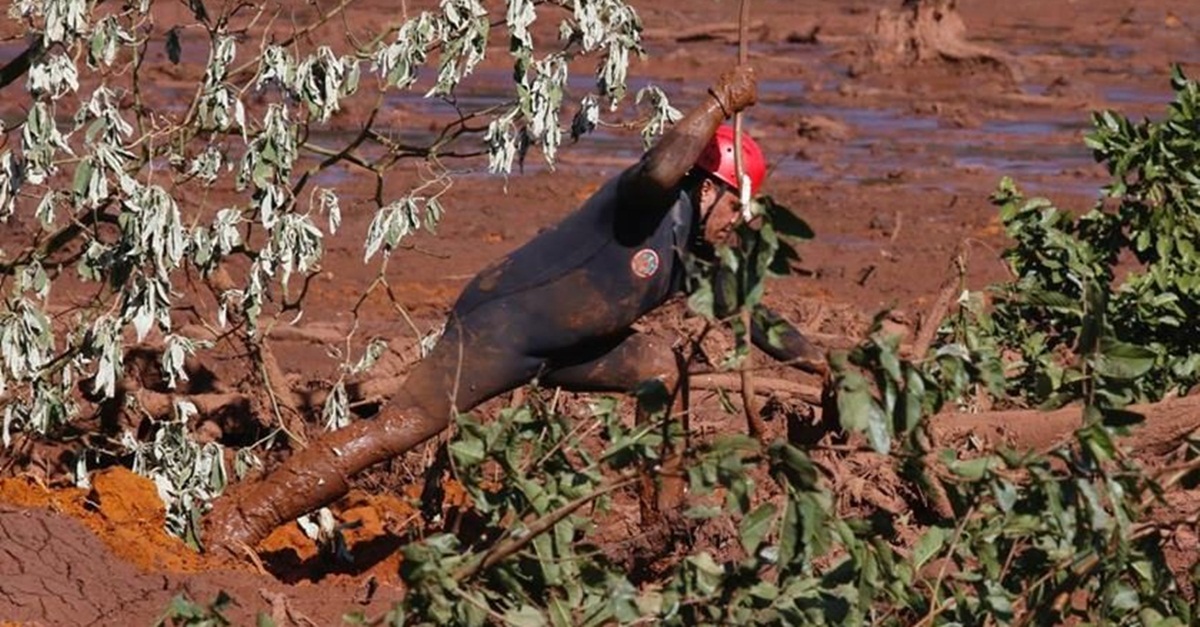 DF vai enviar bombeiros e cães farejadores para ajudar nas buscas em Brumadinho