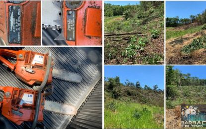 Após denuncia, Polícia de Meio Ambiente flagra autores efetuando crime ambiental em Falhado de Cima, Catas Altas da Noruega