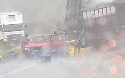 Acidente entre caminhões e carro deixa quatro mortos e um ferido na BR-354