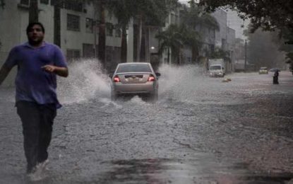Período de chuva aumenta o risco de transmissão da leptospirose