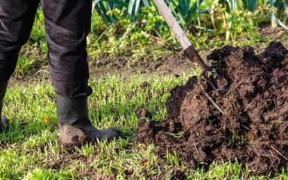 Produtores de Brumadinho têm prazo prorrogado para pagar crédito rural
