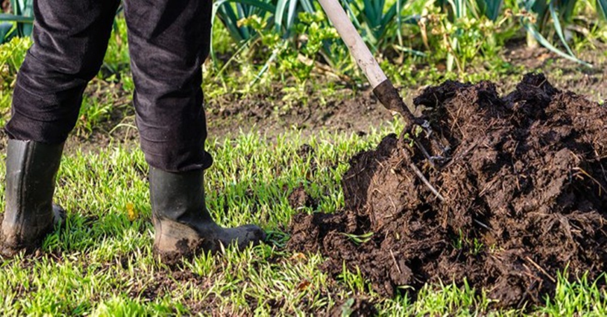 Produtores de Brumadinho têm prazo prorrogado para pagar crédito rural