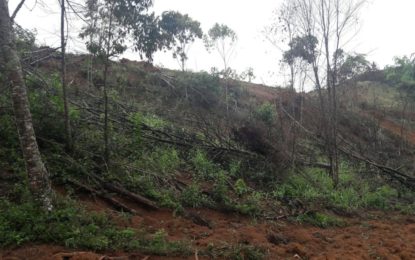 Polícia Militar de Meio Ambiente autua infrator por degradação ambiental em Santos Dumont