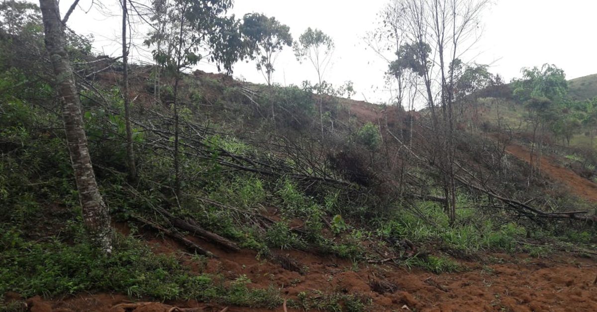 Polícia Militar de Meio Ambiente autua infrator por degradação ambiental em Santos Dumont