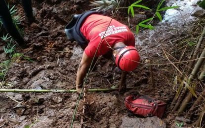 Mulheres são presas tentando se passar por vítimas da tragédia, em Brumadinho, para receber R$ 100 mil da Vale