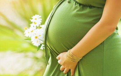 Saiba como a alimentação das mães pode influenciar na vida dos bebês