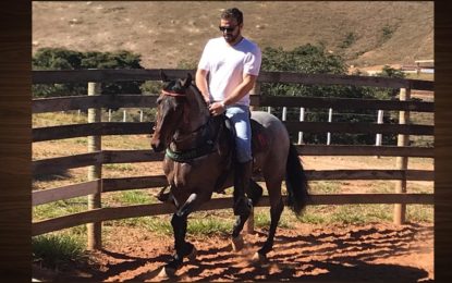 NUCAVE adota animais propagandas para divulgação da Exposição