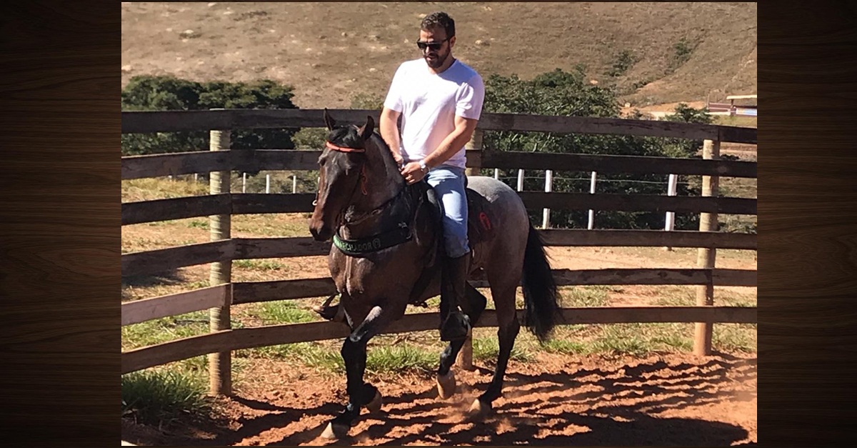 NUCAVE adota animais propagandas para divulgação da Exposição