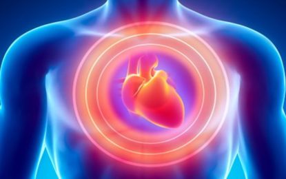 Saiba os alimentos necessários para consumir após um infarto e aqueles que devem ser evitados