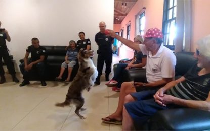 Novo projeto do canil da Guarda Civil Municipal de Barbacena leva alegria a lar de idosos