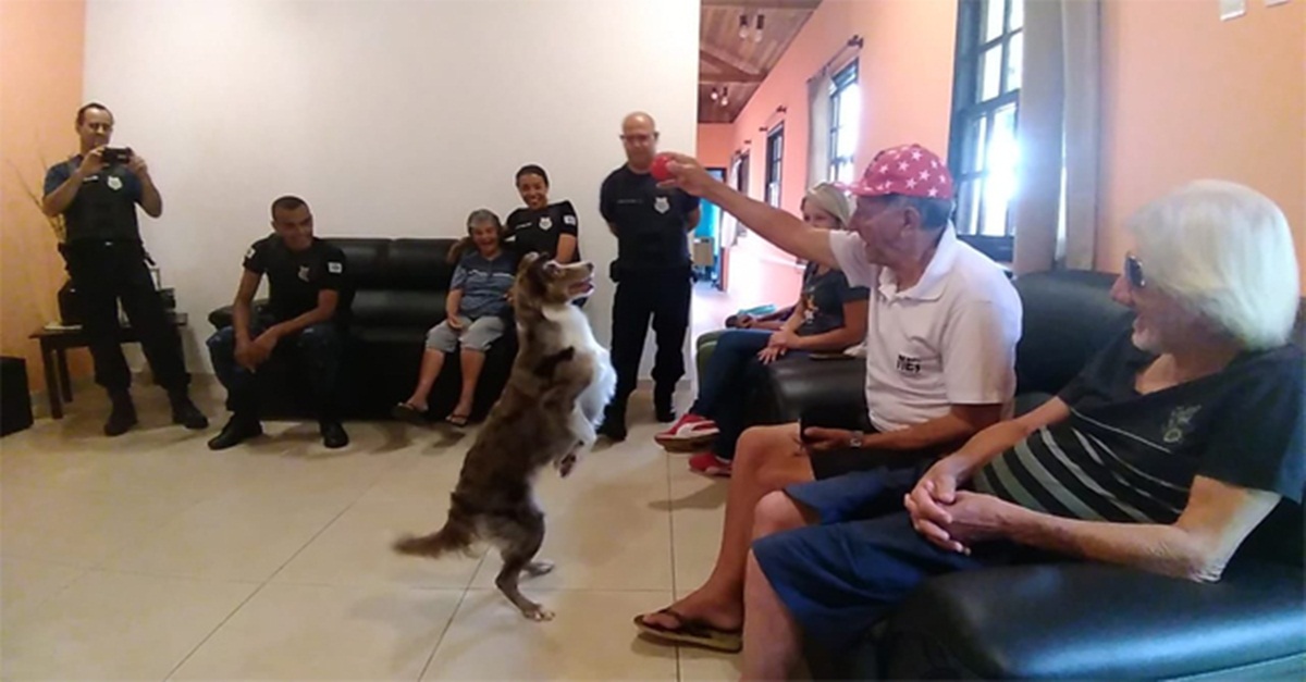 Novo projeto do canil da Guarda Civil Municipal de Barbacena leva alegria a lar de idosos