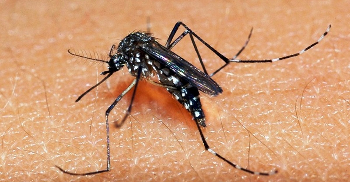 MINAS GERAIS CHEGA 21 MORTES POR DENGUE EM 2019