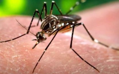 Cidades do Centro-Oeste registram mais de 900 casos de dengue em uma semana