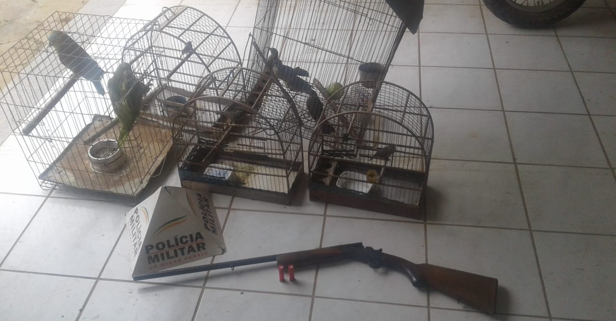 Polícia Militar de Meio Ambiente apreende arma de fogo e resgata pássaros em cativeiro na zona rural de Piranga