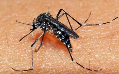 GOVERNO DESTINA R$ 4,2 MILHÕES PARA CIDADES COM EPIDEMIA DE DENGUE