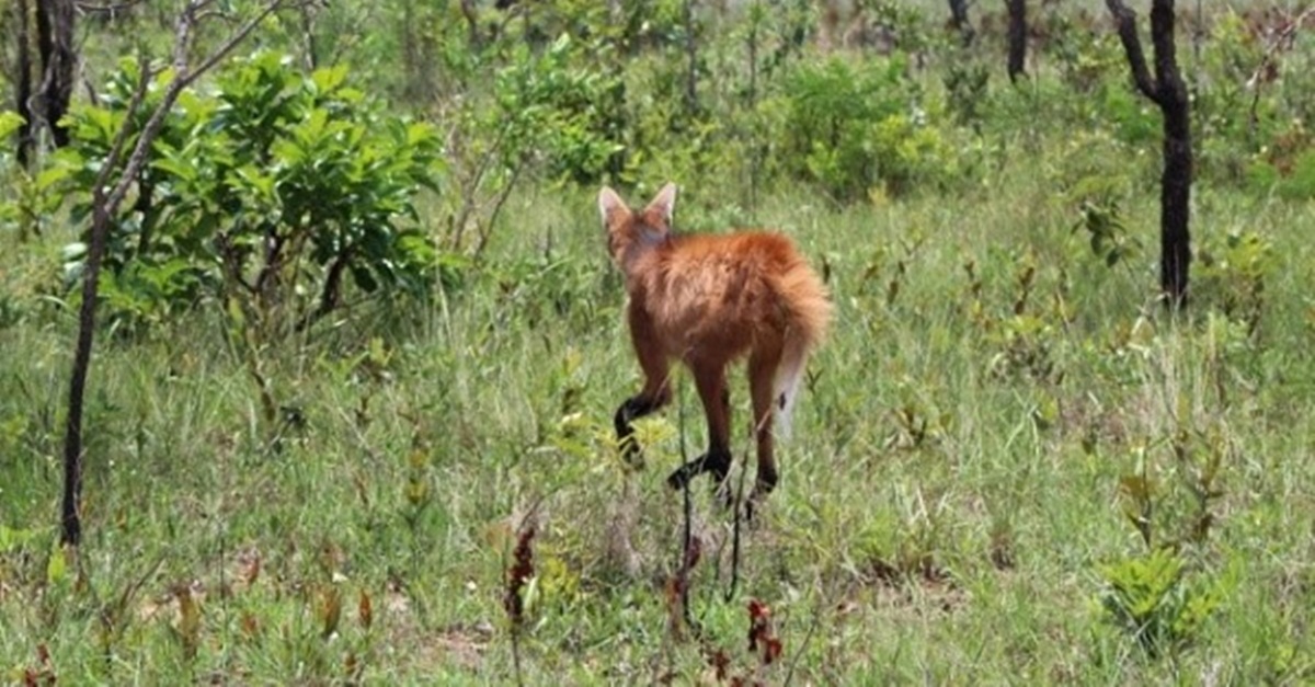 Novo Cetas será inaugurado em Montes Claros