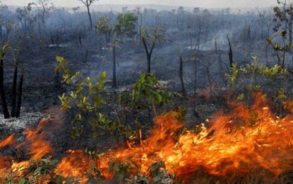 Alerta contra queimadas neste período de seca