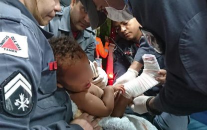 Governo de Minas articula ações pela recuperação de Brumadinho e apoio às vítimas