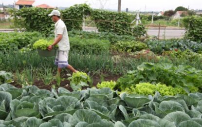 Secretários apresentam diretrizes para produção sustentável