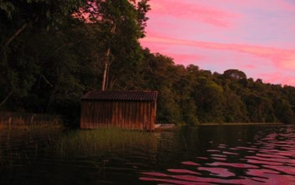 Parque Estadual do Rio Doce celebra 75 anos em festa que deve reunir 2 mil pessoas