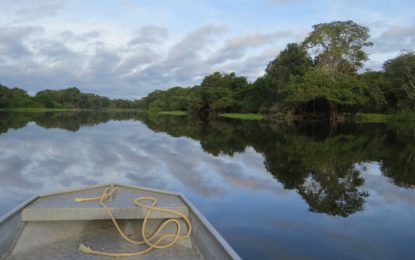 Romeu Zema disponibiliza equipes para auxiliar no combate aos incêndios da Amazônia